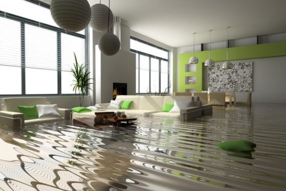 Mould in your home after flooding