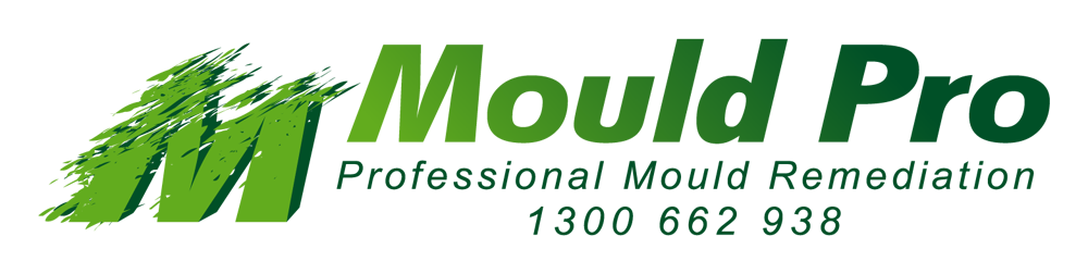 Mould-Pro-Logo