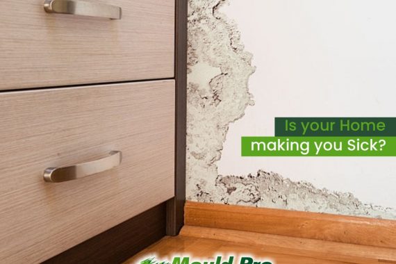 Why trust MouldPro for Mould Removal from your Sydney home or office?